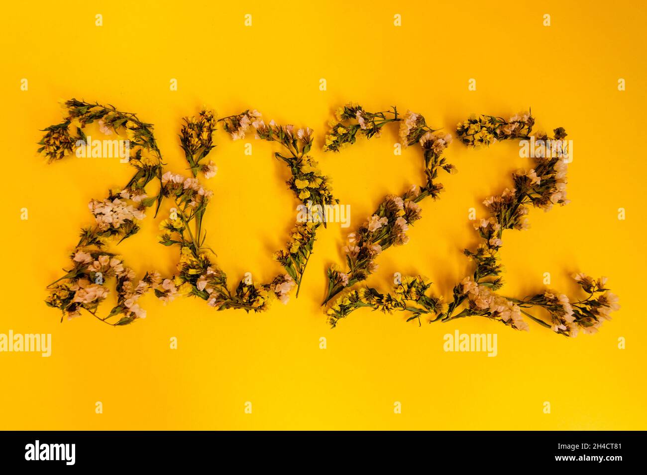 New Year. 2022 is laid out of statice dried flowers on a yellow background.  Stock Photo