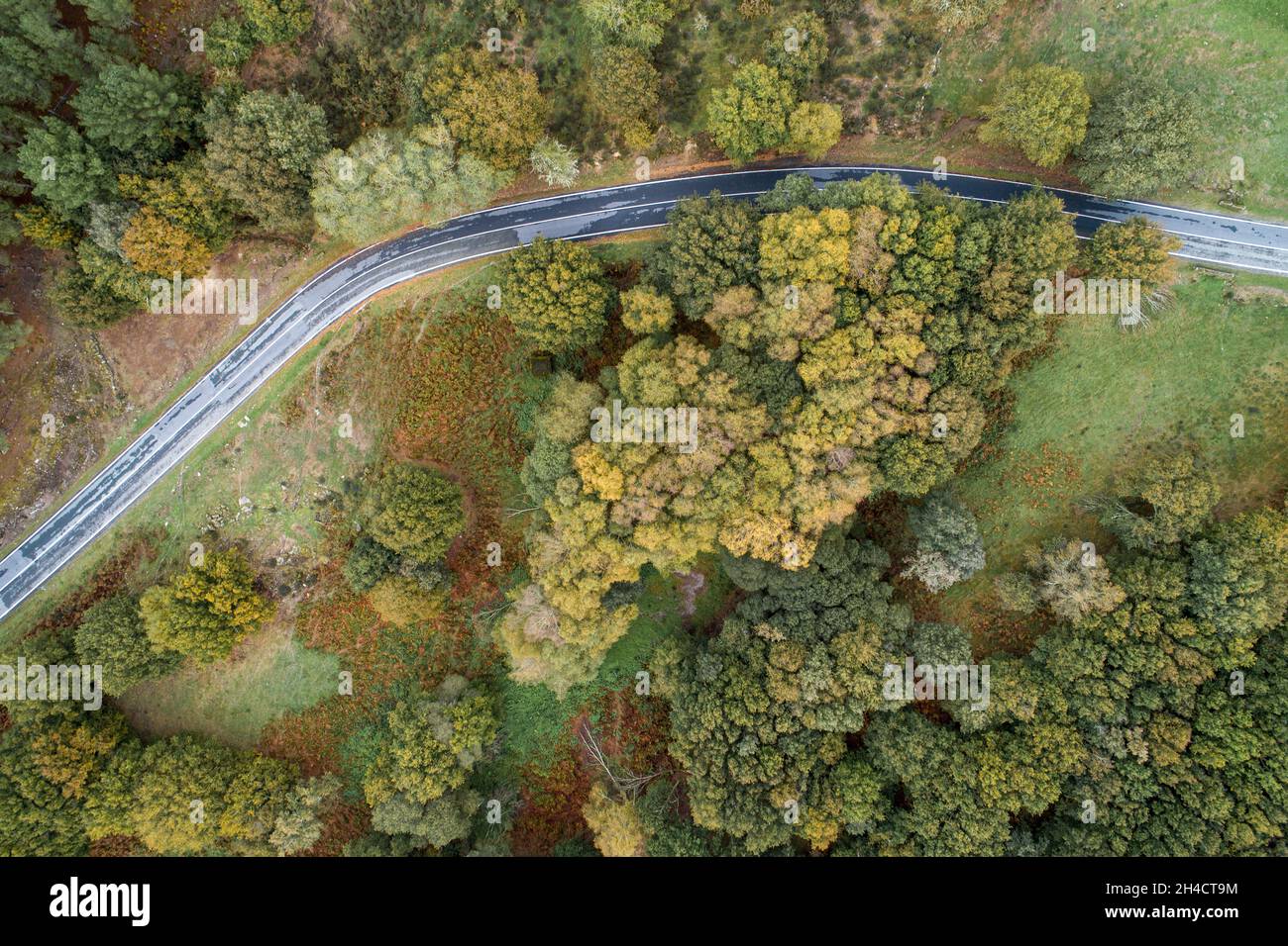 Aerial view of a winding road in a high mountain pass through dense ...