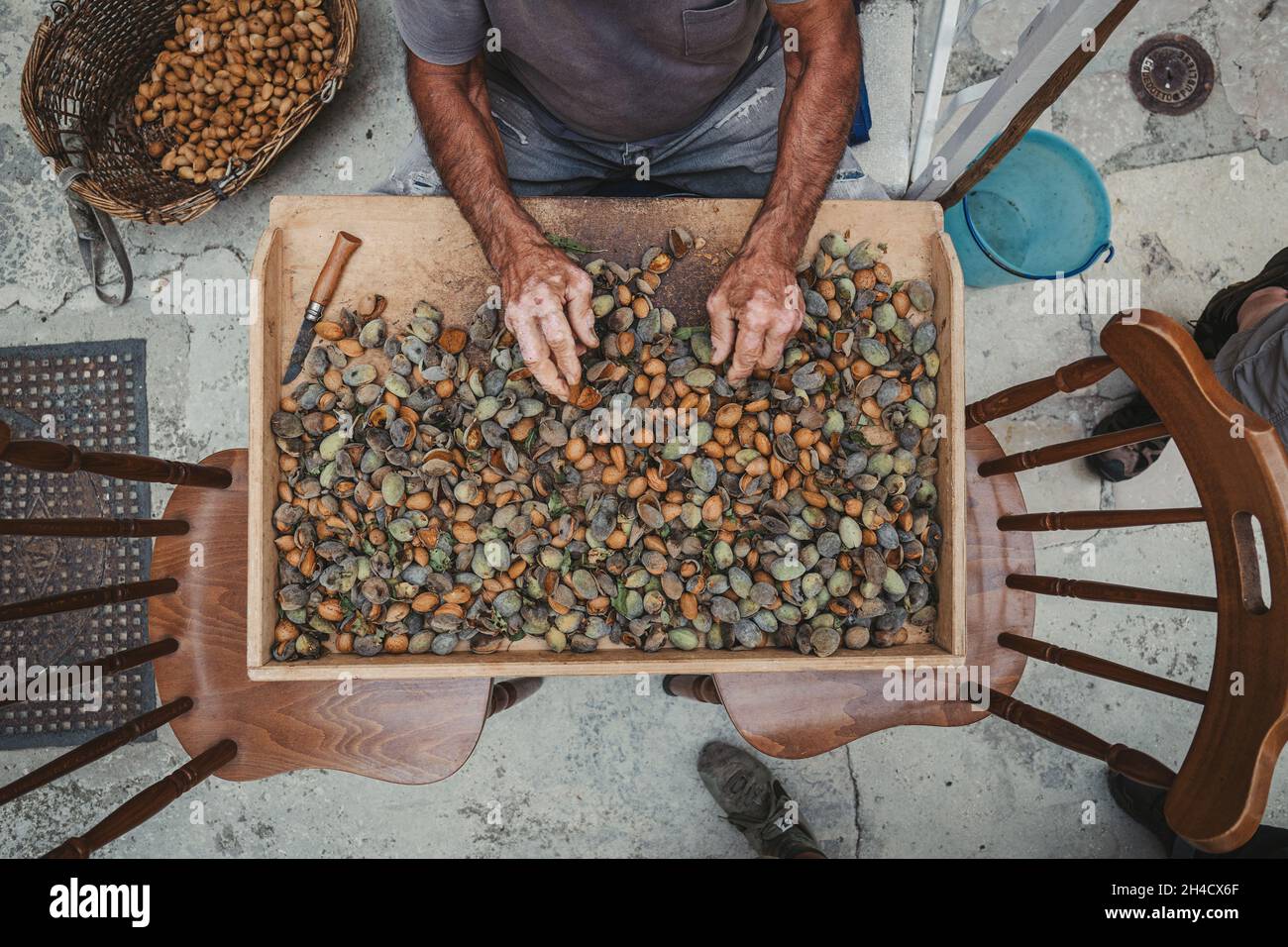 Hands of ethnically diverse senior citizen peeling the almonds Stock Photo