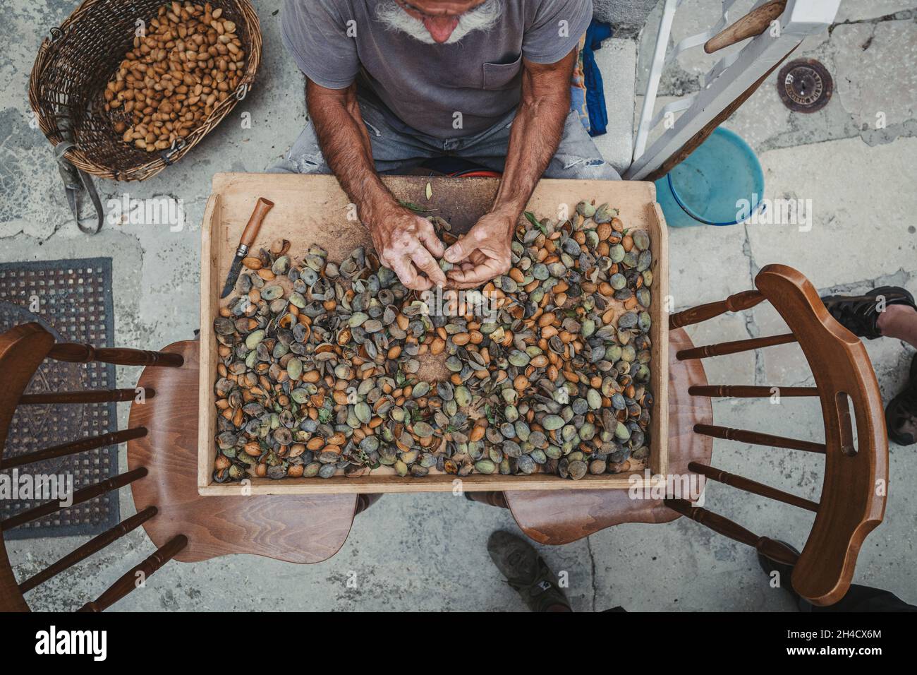 Hands of ethnically diverse senior citizen peeling the almonds Stock Photo