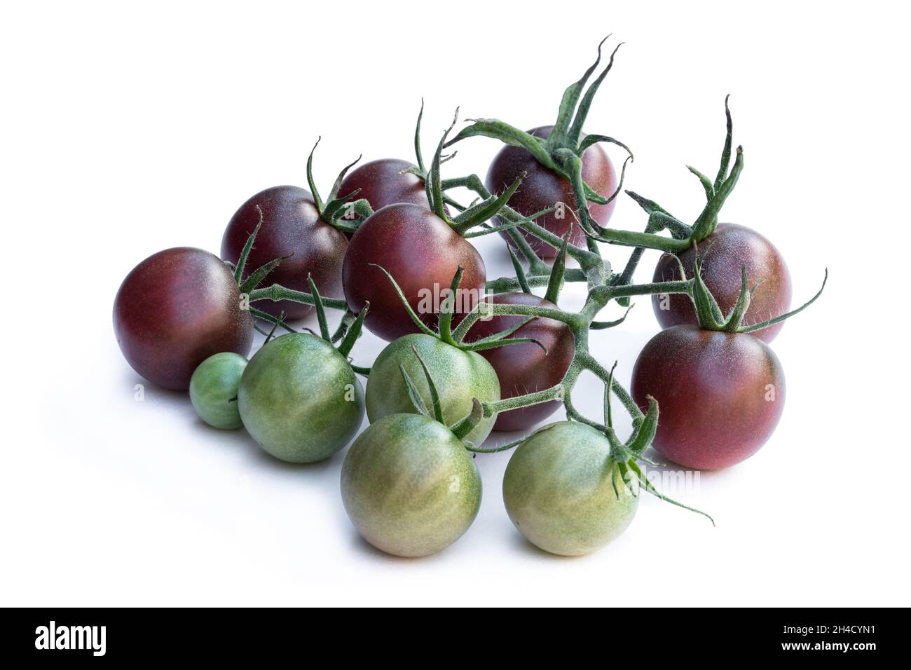 Fresh  black cherry tomatoes isolated on white Stock Photo