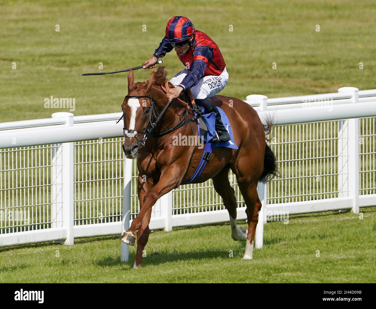 File photo dated 23-06-2021 of Sean Levey riding Nuits St Georges. David Menuisier is hoping Nuits St Georges can surprise him for a second successive year by surpassing expectations in the Virgin Bet November Handicap at Doncaster. Issue date: Tuesday November 2, 2021. Stock Photo
