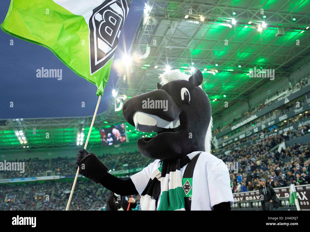 Feature, mascot Juenter the foal, JÃ nter, Borussia-Park football 1. Bundesliga, 10th matchday, Borussia Monchengladbach (MG) - VfL Bochum (BO) 2: 1, on October 31, 2021 in Borussia Monchengladbach/Germany. #DFL regulations prohibit any use of photographs as image sequences and/or quasi-video # Â Stock Photo