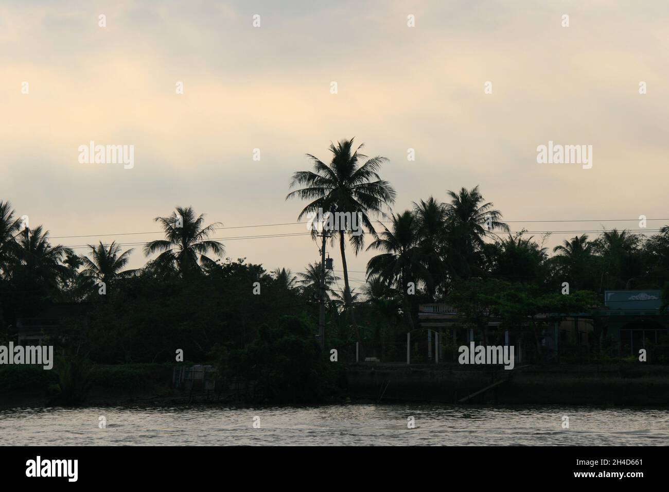 village along a river at the delta of mekong in vietnam Stock Photo - Alamy