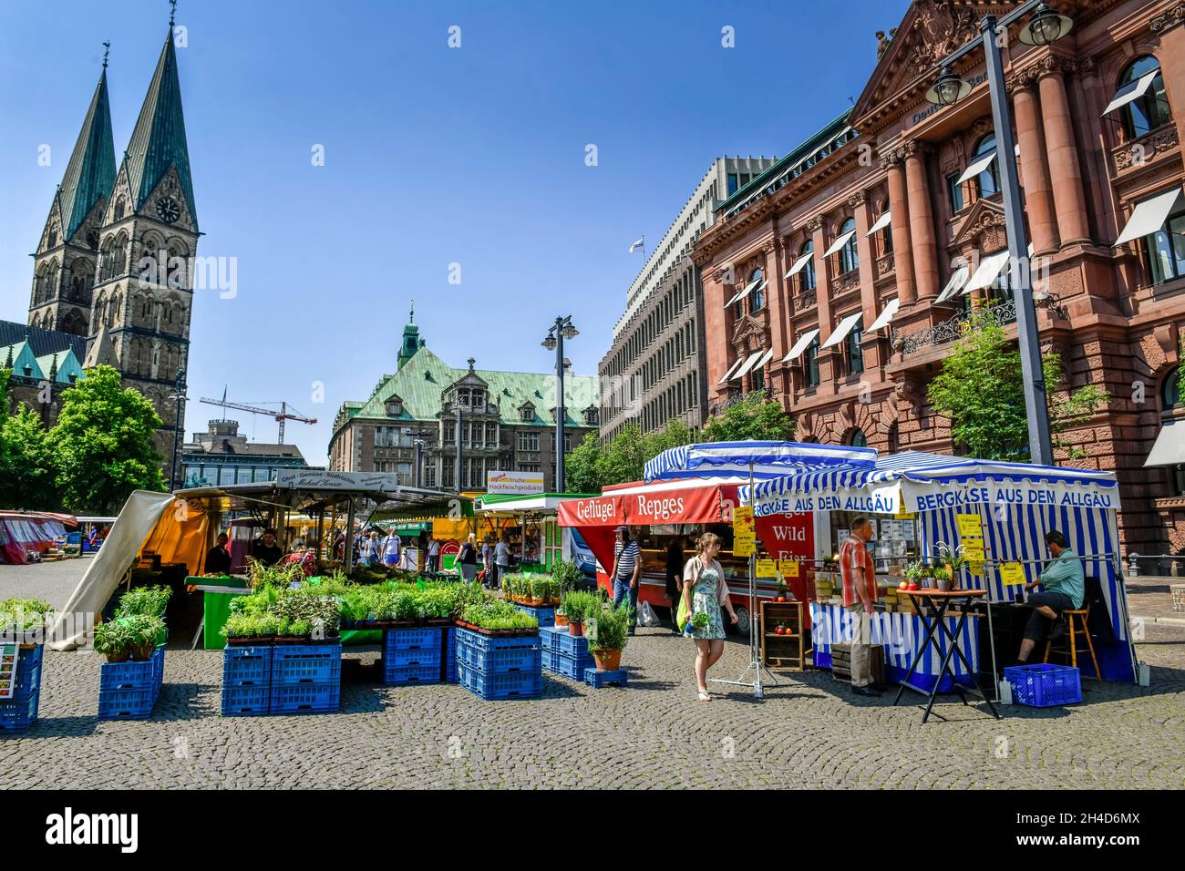 Wochenmarkt, Domshof, Bremen, Deutschland Stock Photo
