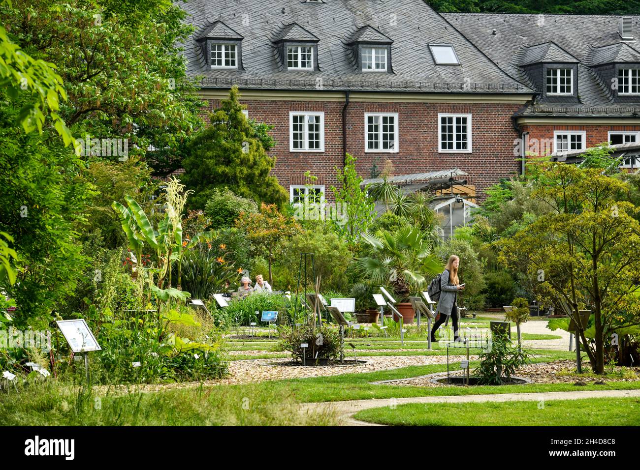 Botanischer Garten, Münster, NordrheinWestfalen, Deutschland Stock