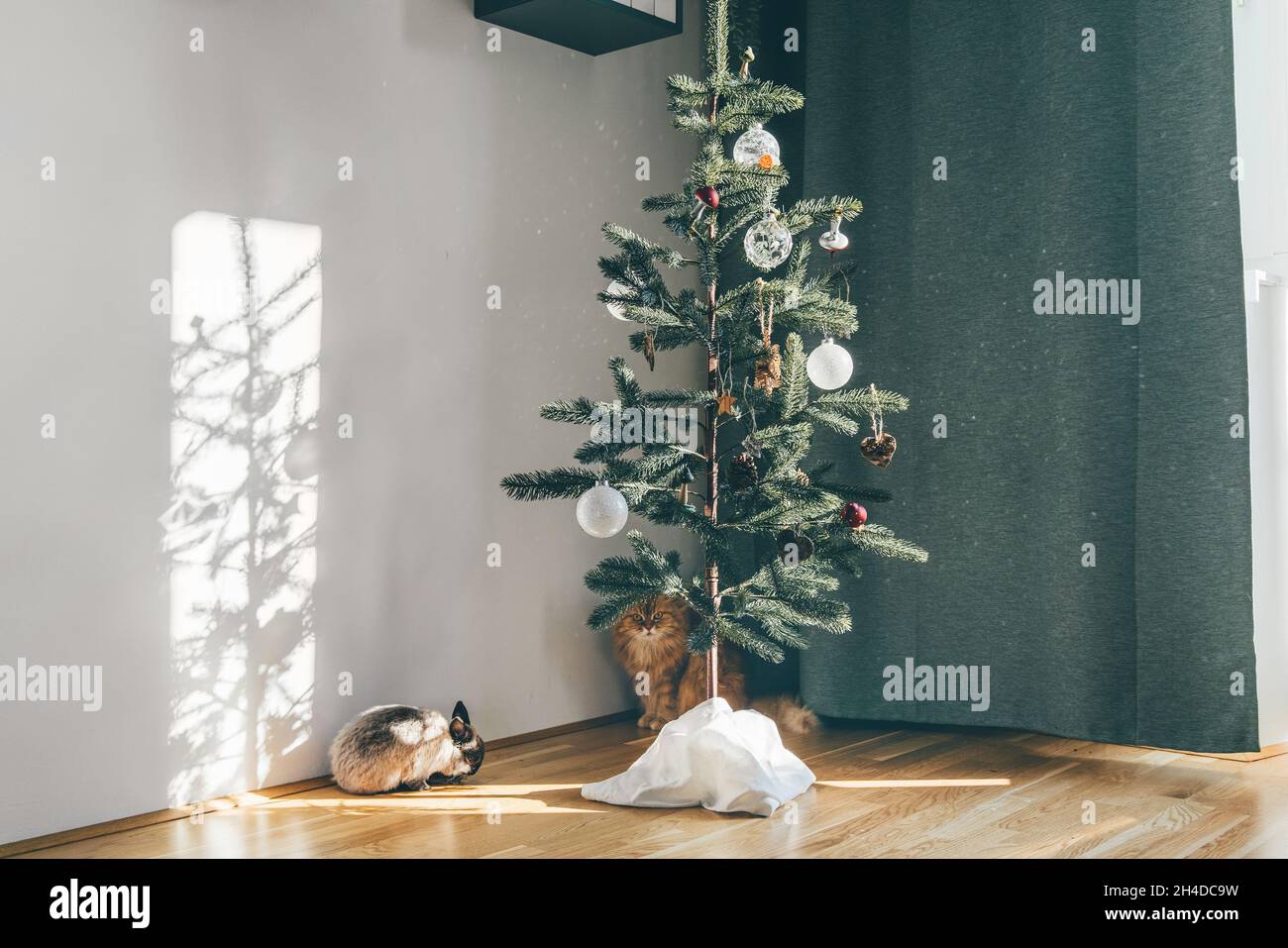 Minimalistic reusable Christmas tree in living room Stock Photo