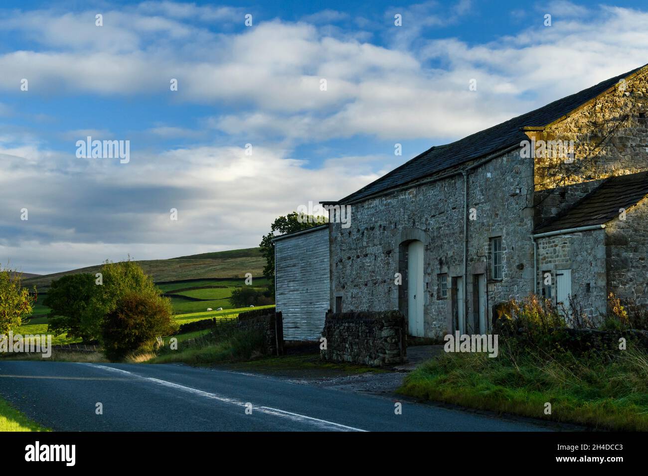Old stone barn at side of quiet countryside B6160 road, rolling hills & sheep in sunlit farm fields under blue sky - Yorkshire Dales, England, UK. Stock Photo