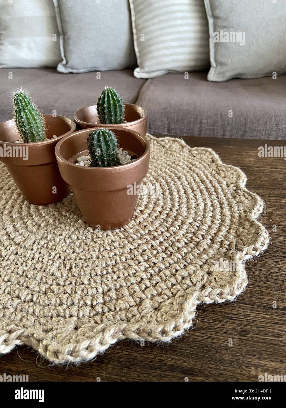 Cactus fibers hi-res stock photography and images - Alamy
