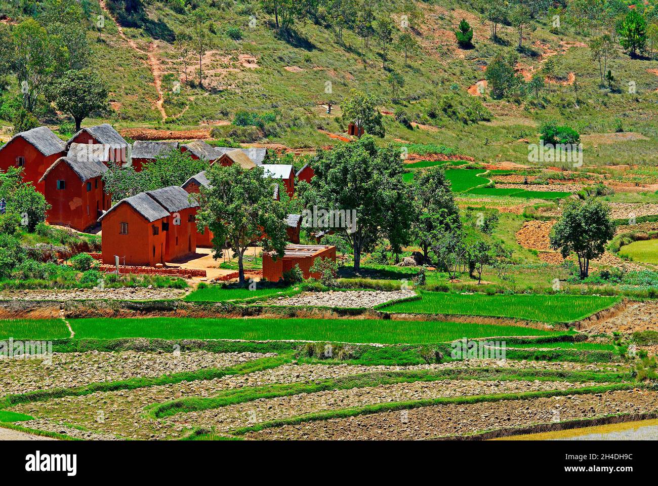 Madagascar. Village en terre rouge des environs de Tananarive