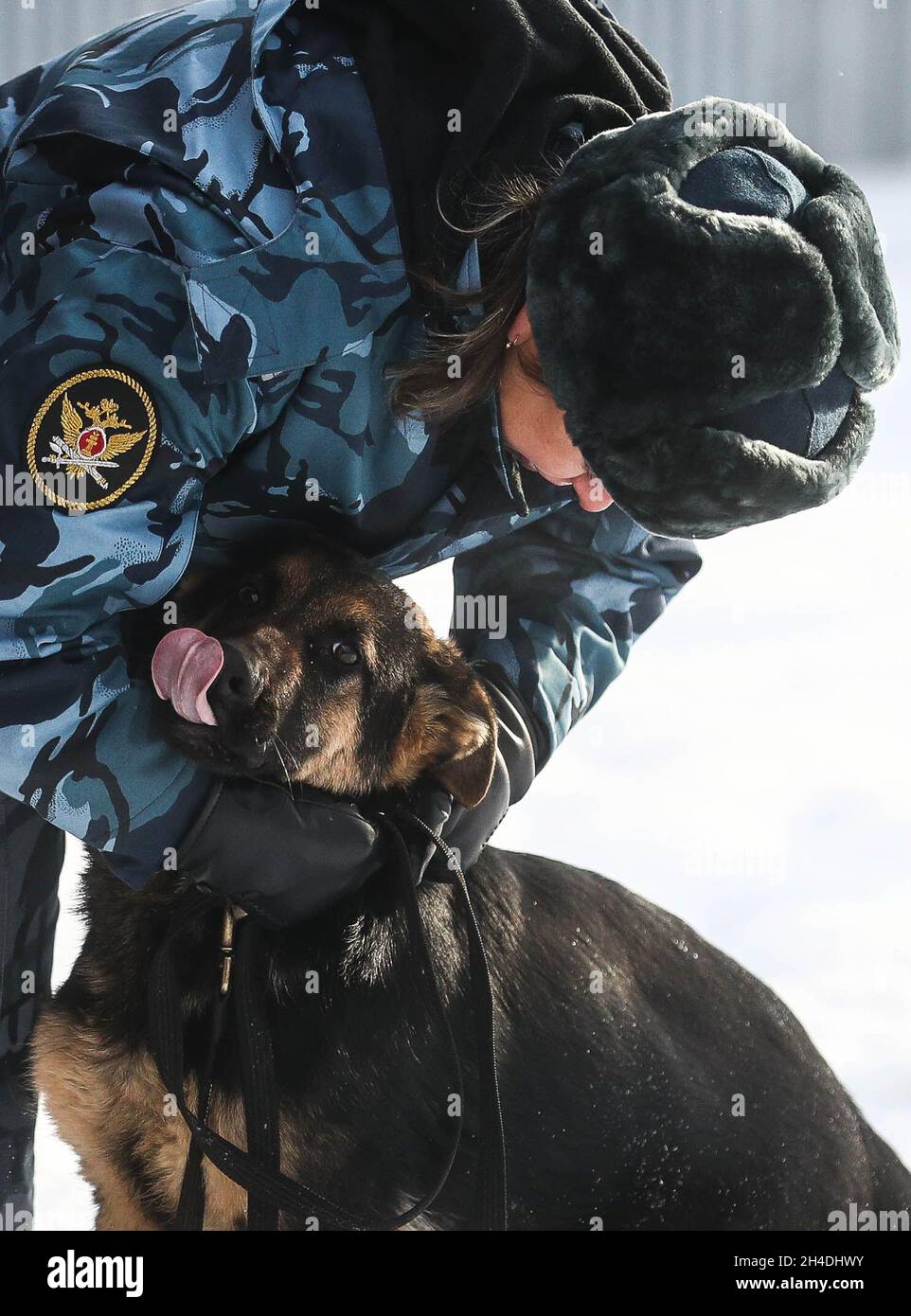 shepherd ark kennels