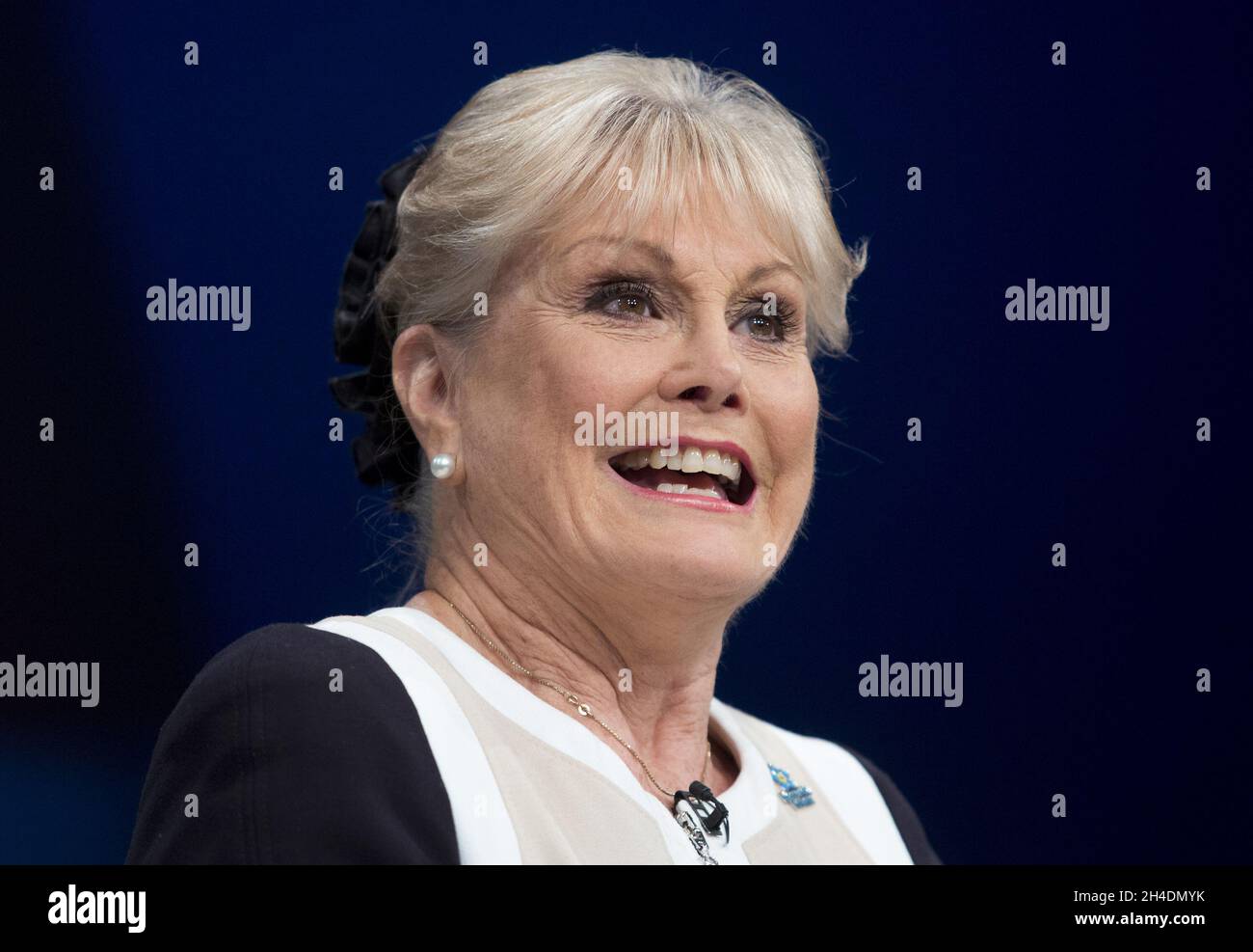 Angela rippon headshot portrait hi-res stock photography and images - Alamy
