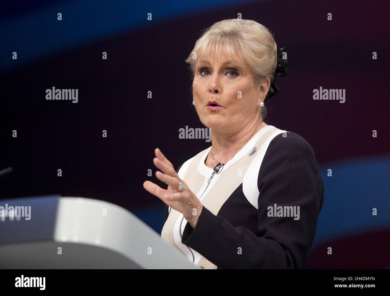 TV presenter Angela Rippon addresses delegates at Manchester Central ...