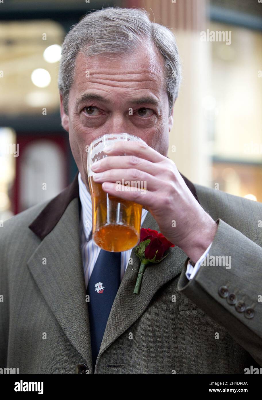 Ukip Leader Nigel Farage Celebrate St George S Day With A Pint At