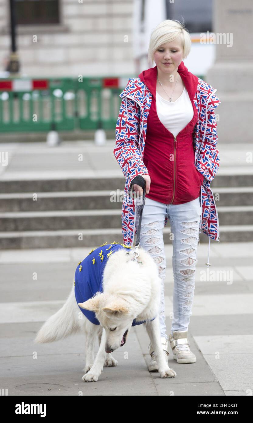 A young girl wearing an Union Jack coat and a dog wearing an EU flag campaign against Brexit outside the Houses of Parliament, Westminster, London. Stock Photo