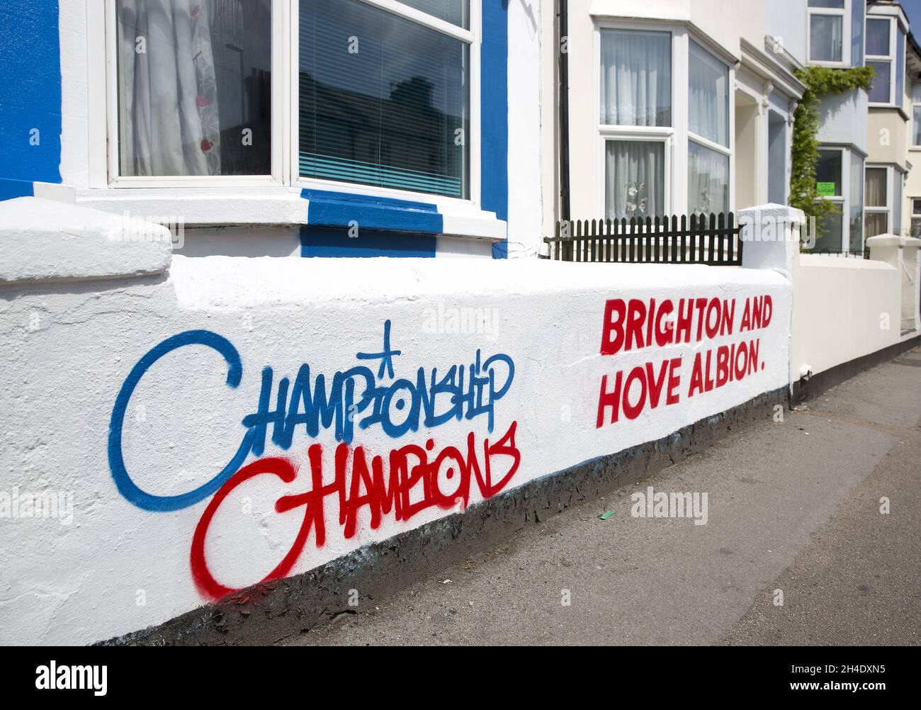 A house in Viaduct Road, Brighton, has been painted with the