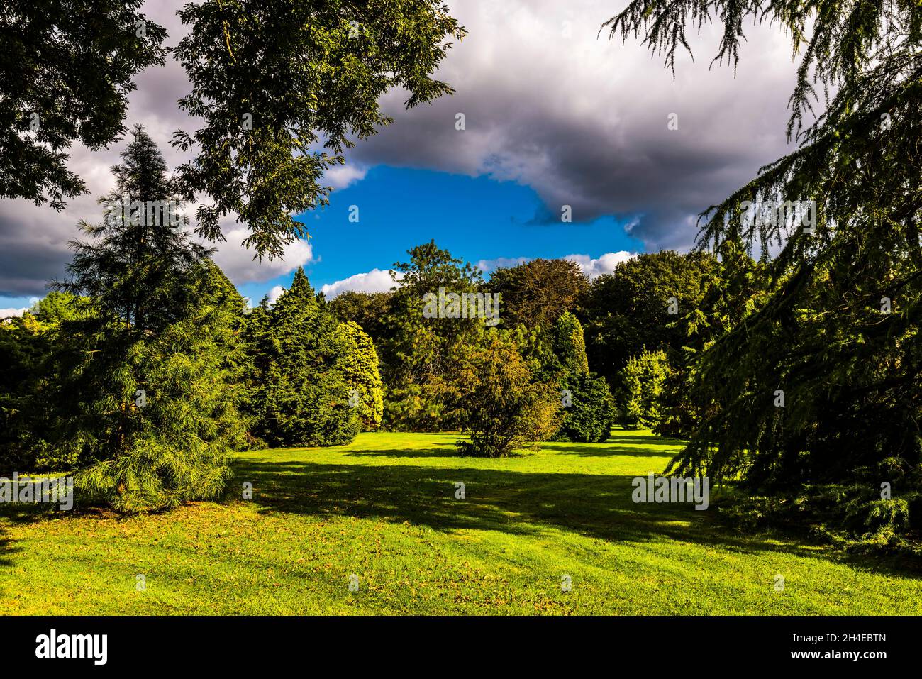 View across the Pinetum Gardens, St Austell, Cornwall, UK Stock Photo