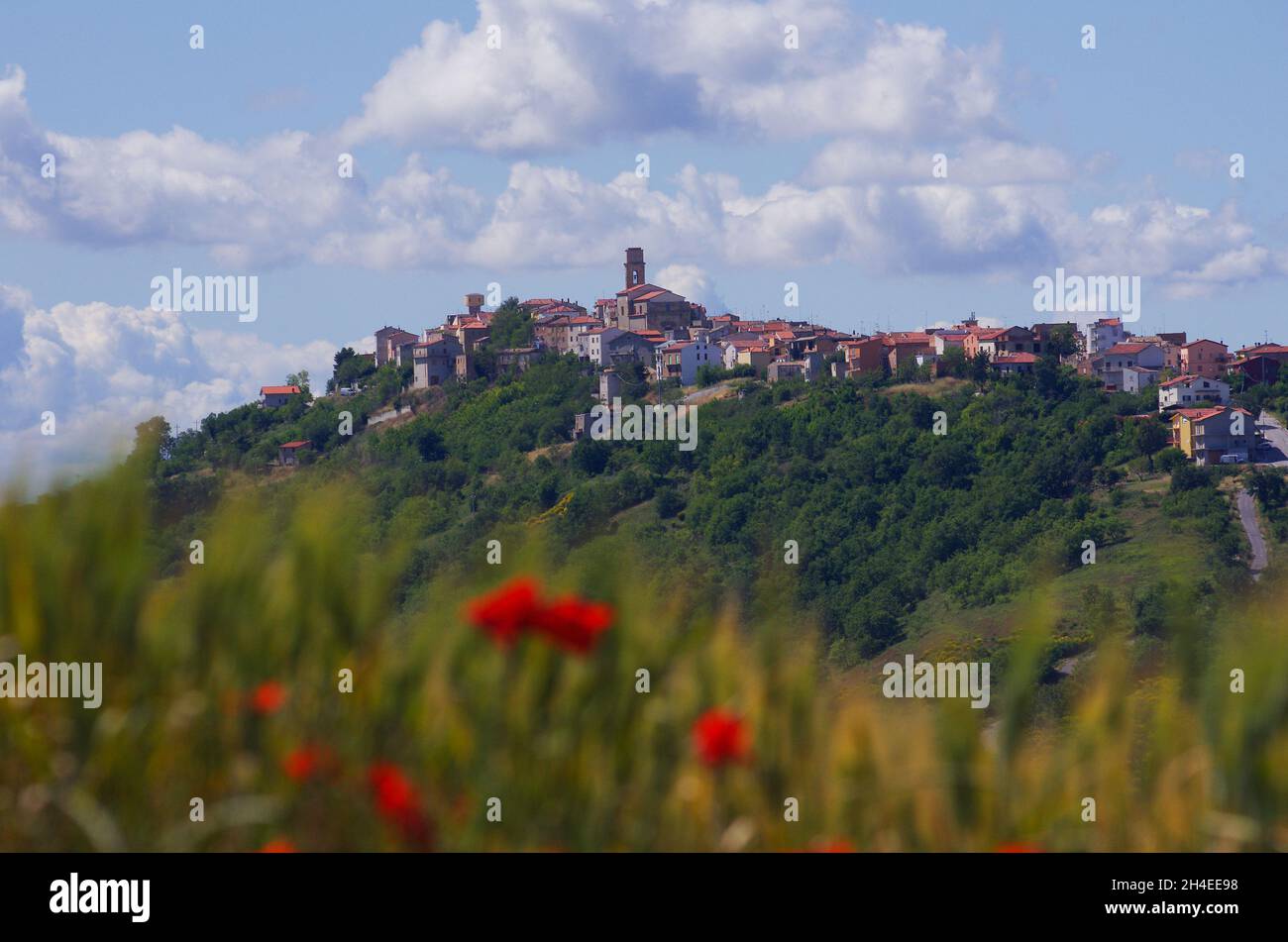 Tavenna - Molise -The small and quiet village with a frame of blurred red poppies Stock Photo