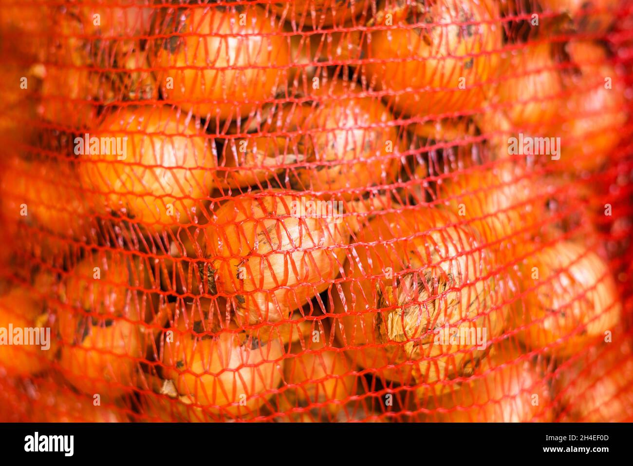 Onions harvest in net hi-res stock photography and images - Alamy
