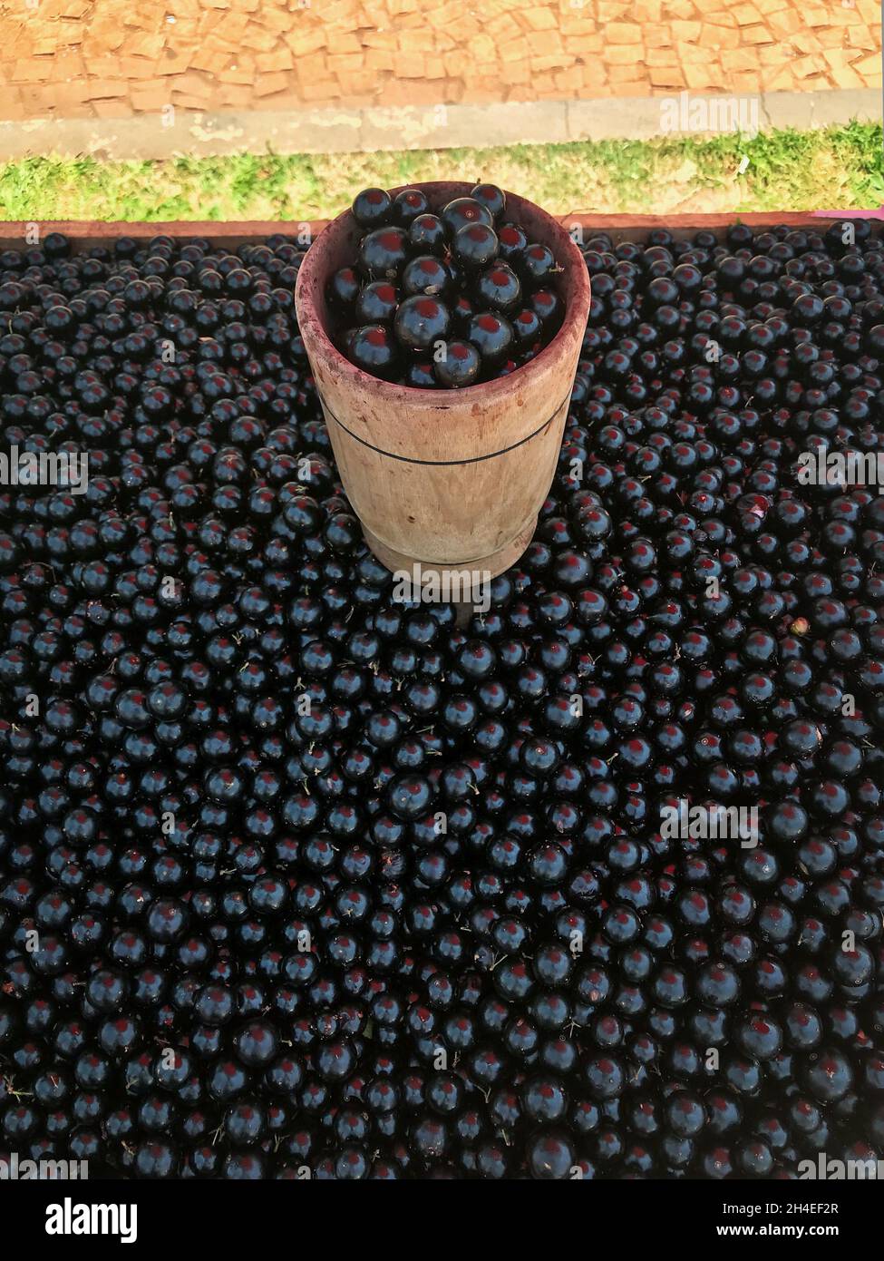 Jabuticaba fruit for sale on a stand outdoor market. Very common fruit market street in Brazil Stock Photo