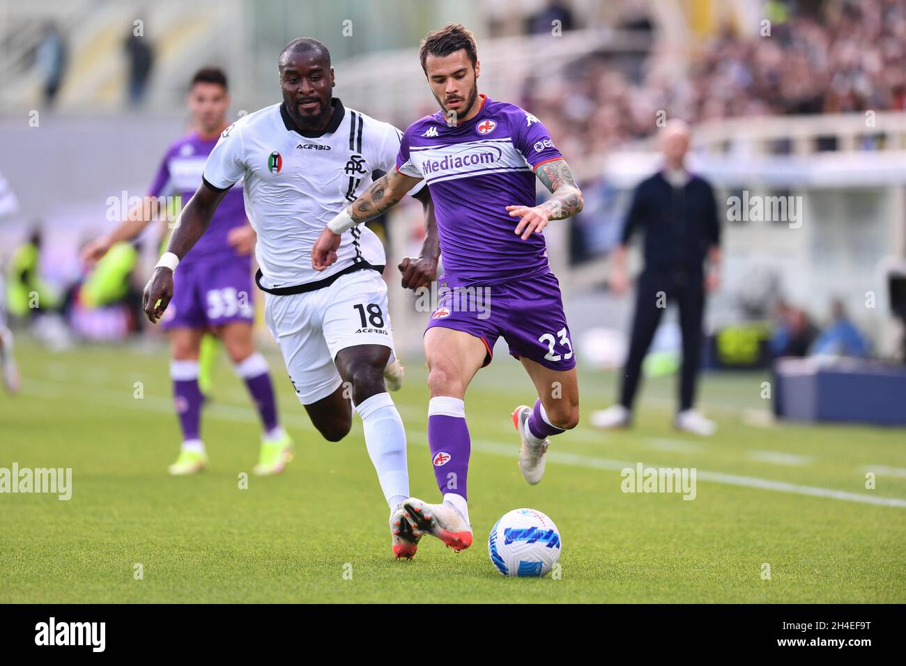 Artemio Franchi stadium, Florence, Italy, October 31, 2021, Lorenzo Venuti ( Fiorentina) and Mbala Nzola (Spezia) during ACF Fiorentina vs Spezia Cal  Stock Photo - Alamy