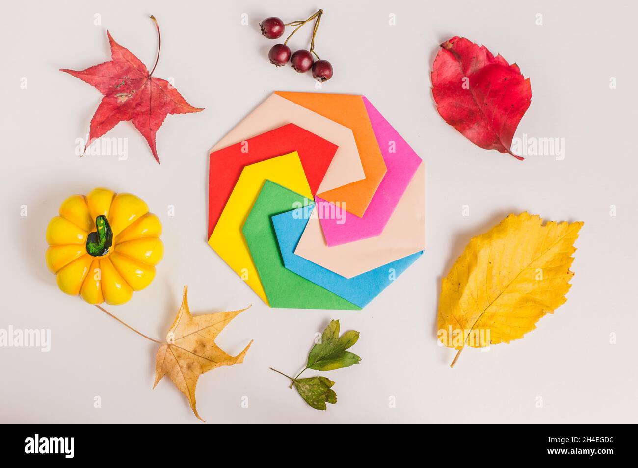 autumn leaves on a white background top view Stock Photo - Alamy