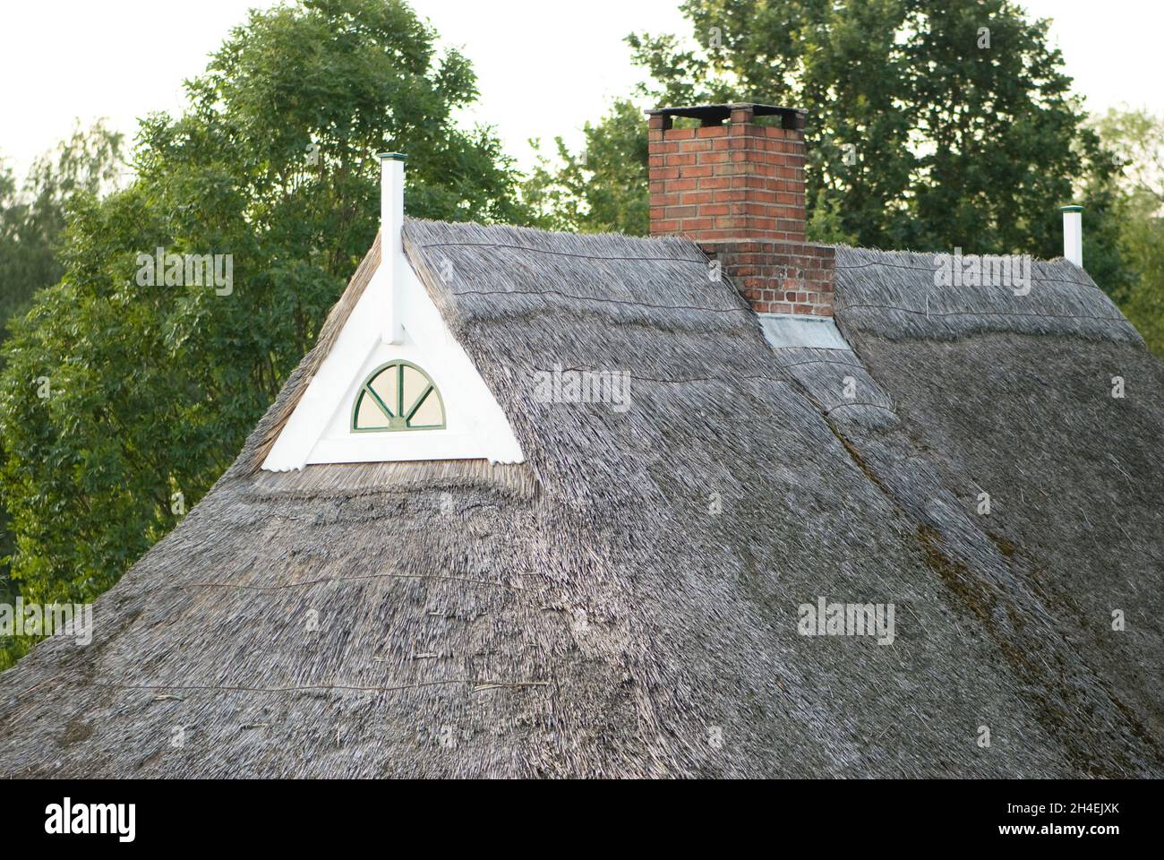 Reed structures hi-res stock photography and images - Alamy