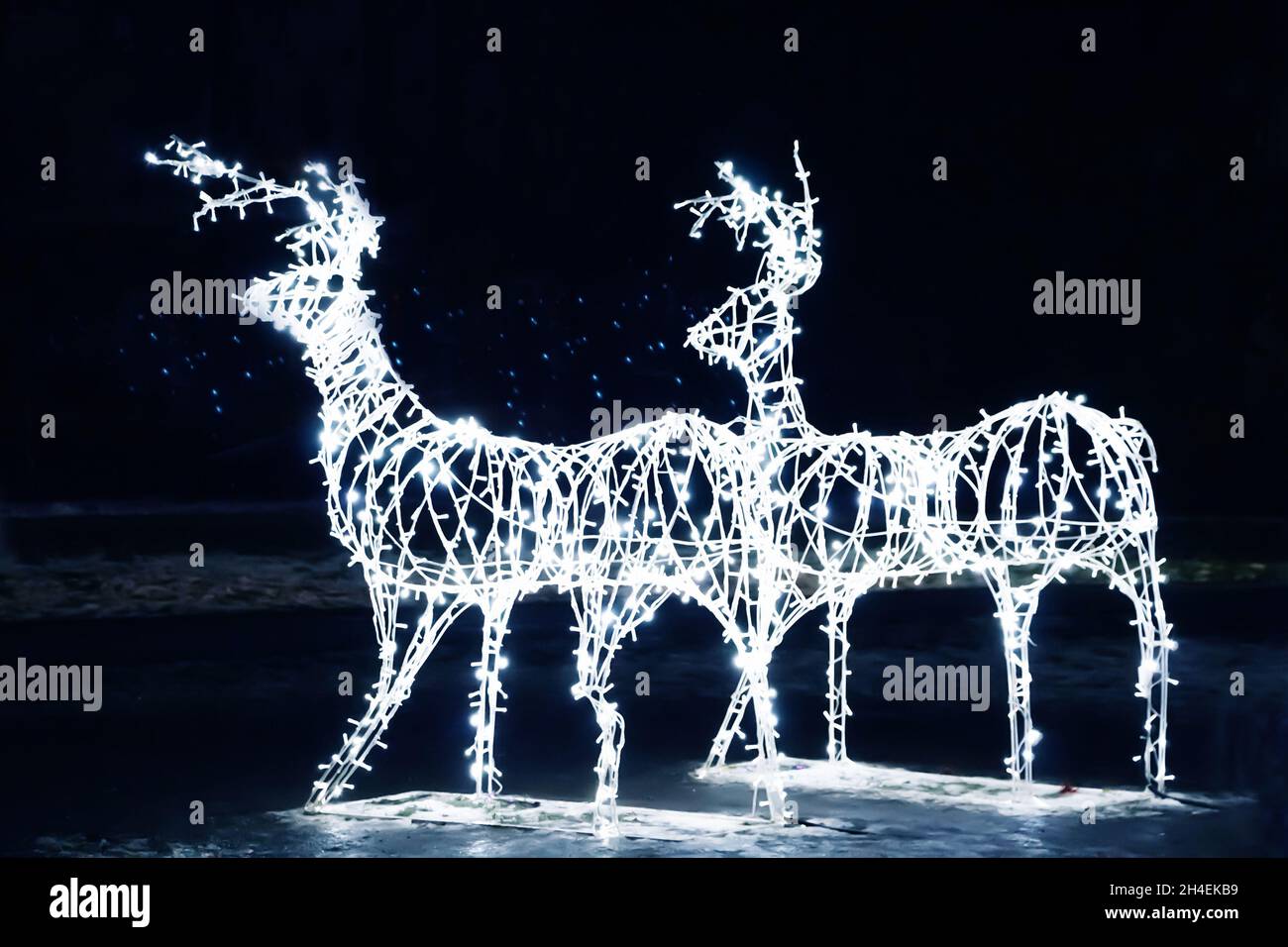 Christmas deer with lights on a black background. New Year decoration ...