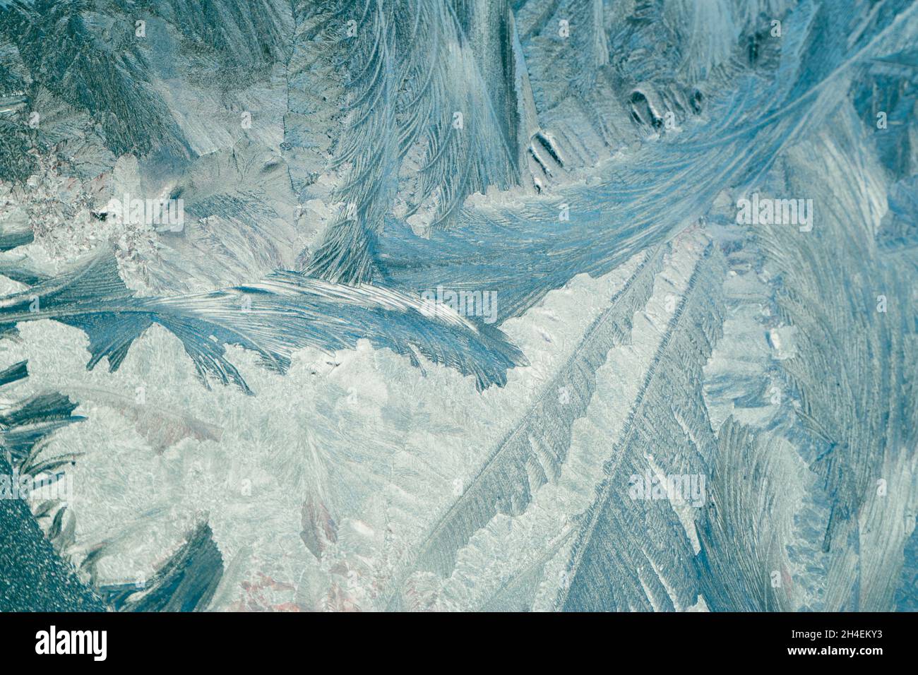 Frosty patterns on glass. Christmas background. Blue ice on winter ...
