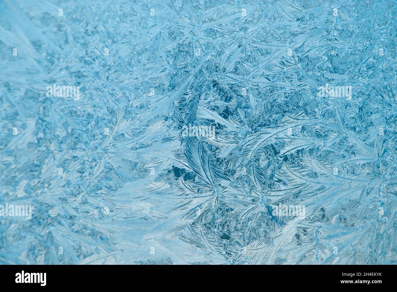 Frosty patterns on glass. Christmas background. Blue ice on winter ...