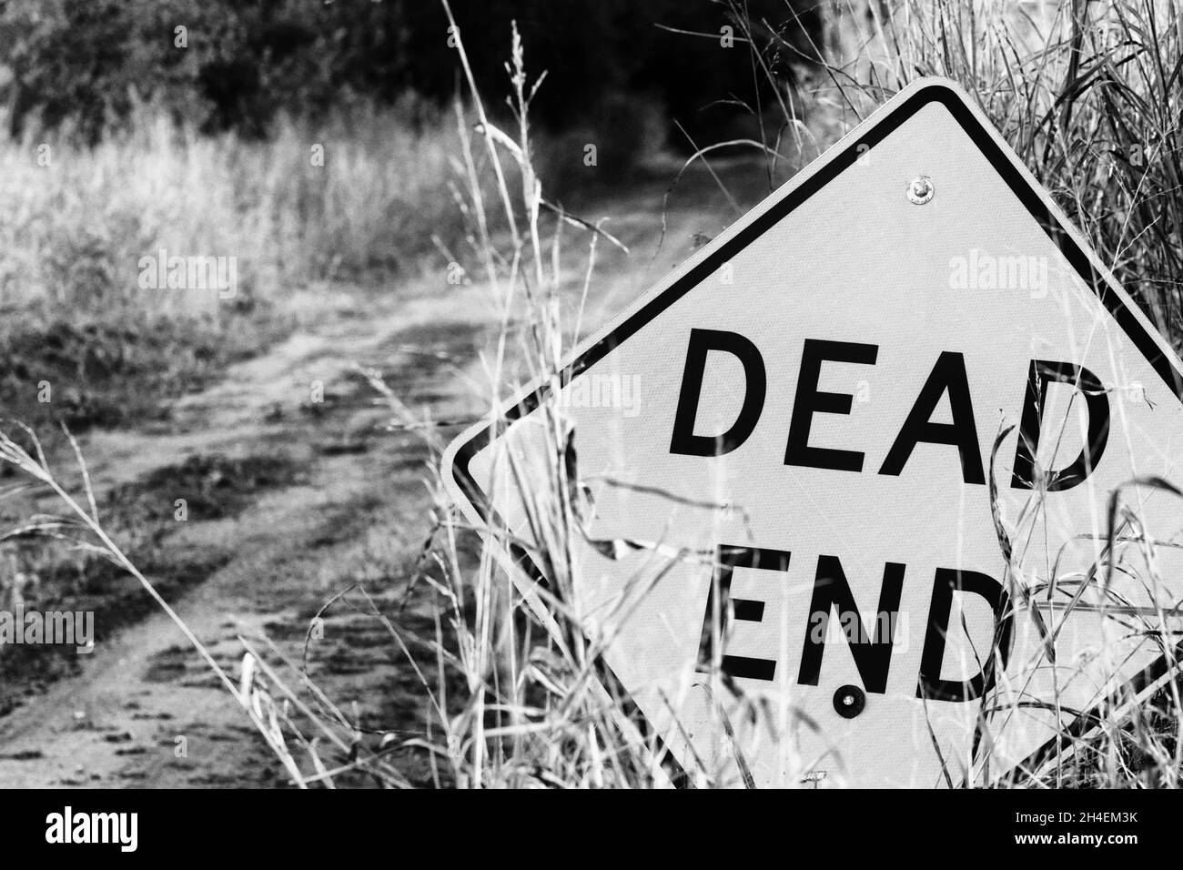 Grayscale closeup of a street sign with text Stock Photo Alamy