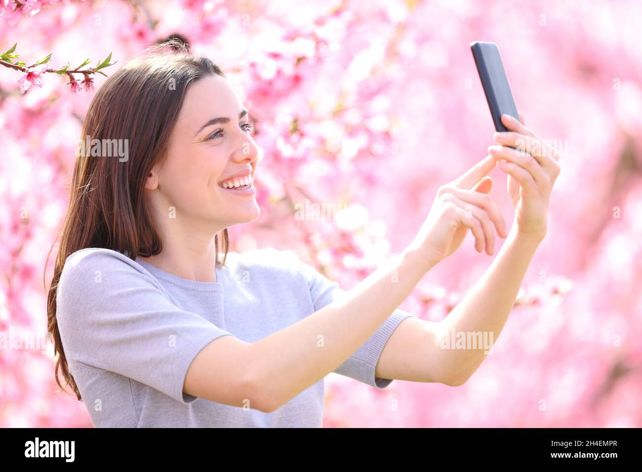 Happy woman in spring taking selfie with smart phone in a flowered pink field Stock Photo