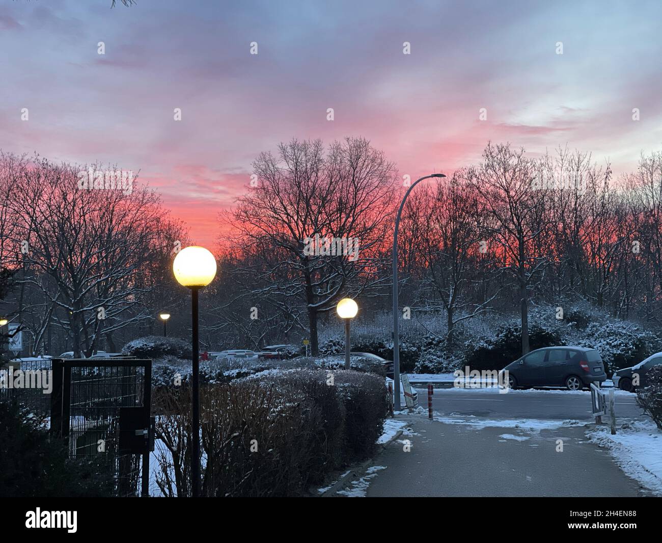 Scenic view of a park in winter on a sunset sky background in Berlin