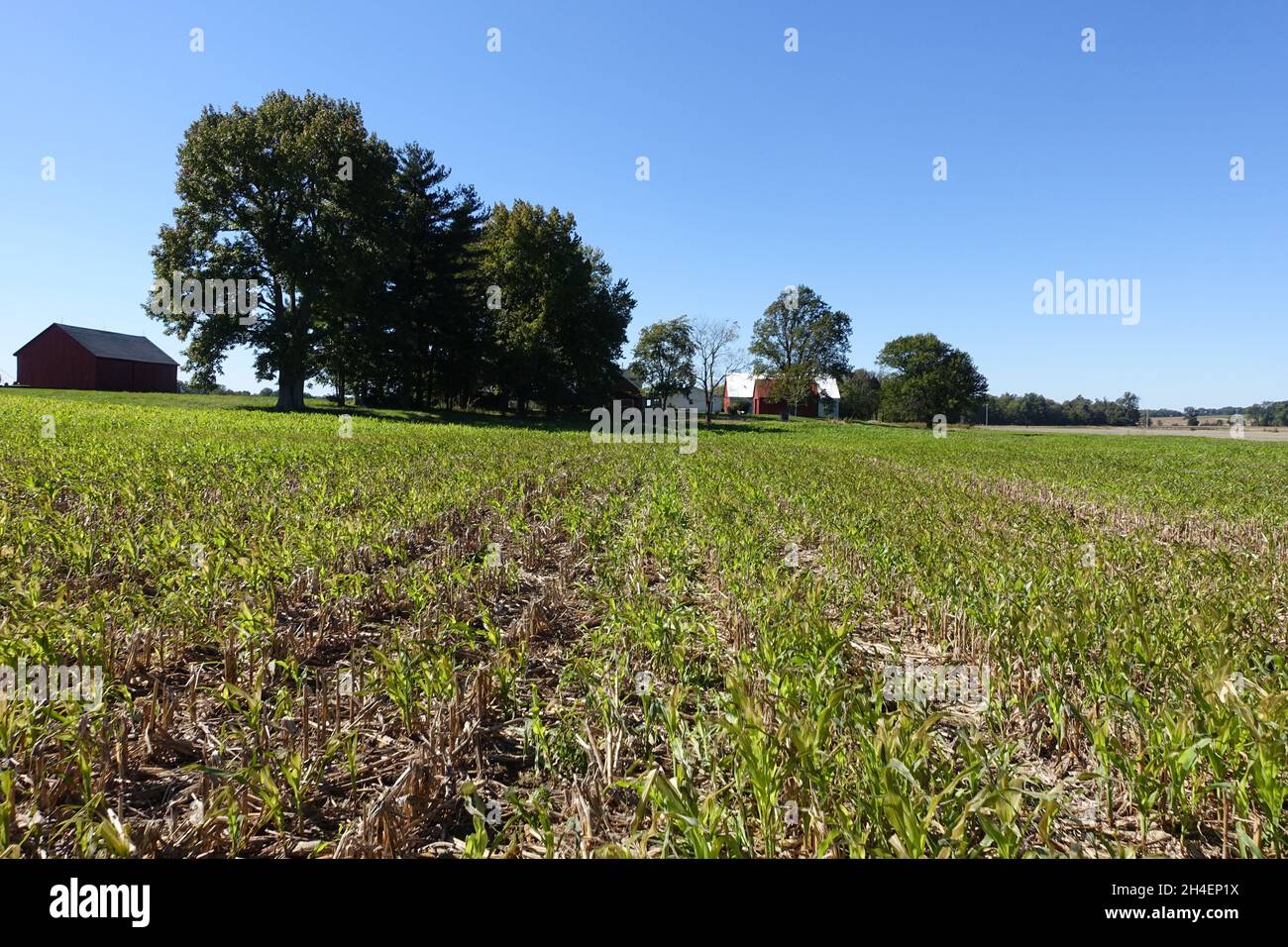 Farming near Evansville Indiana Stock Photo