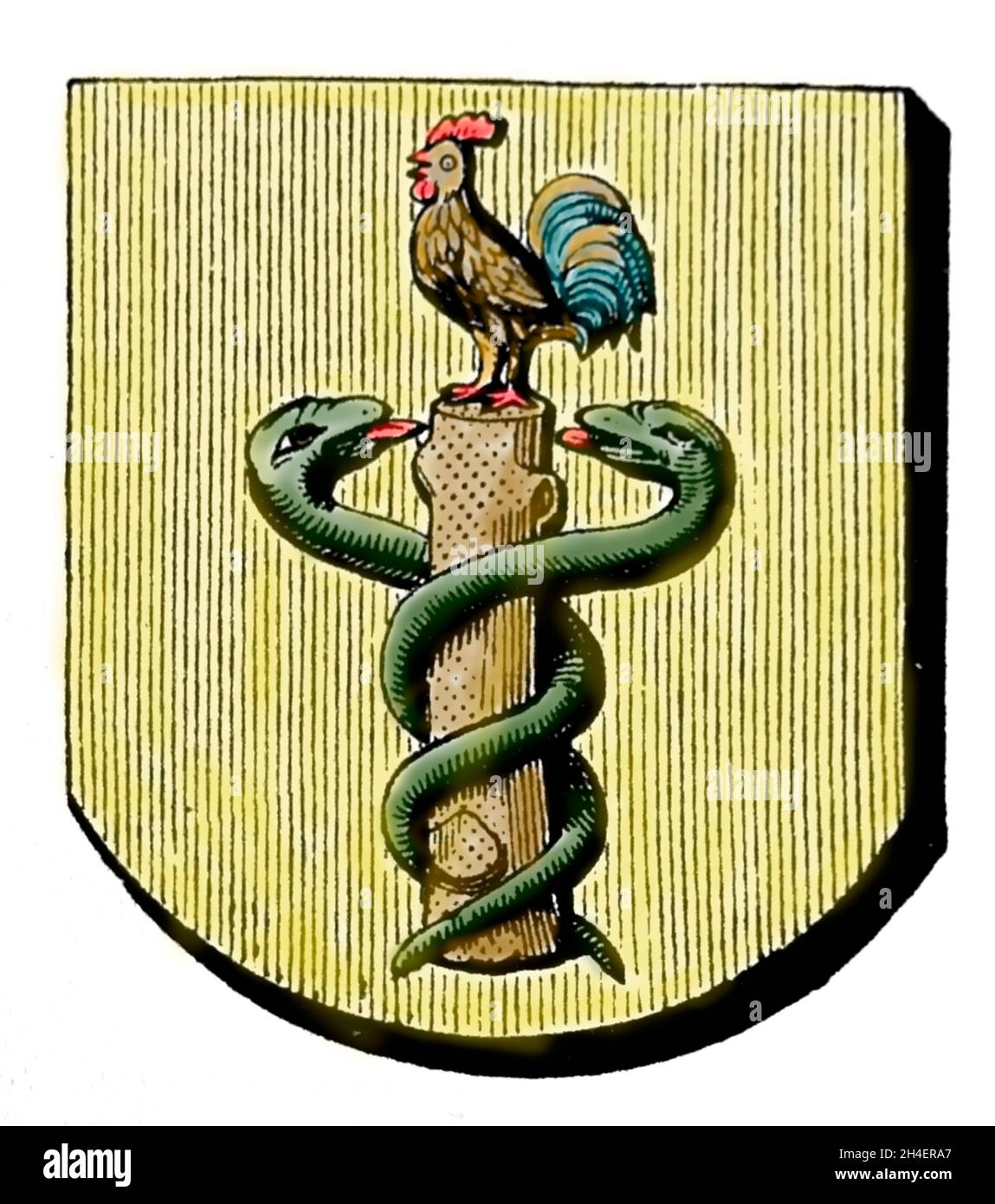 Banner of the corporation of physicians at Vire. Illustration. Stock Photo