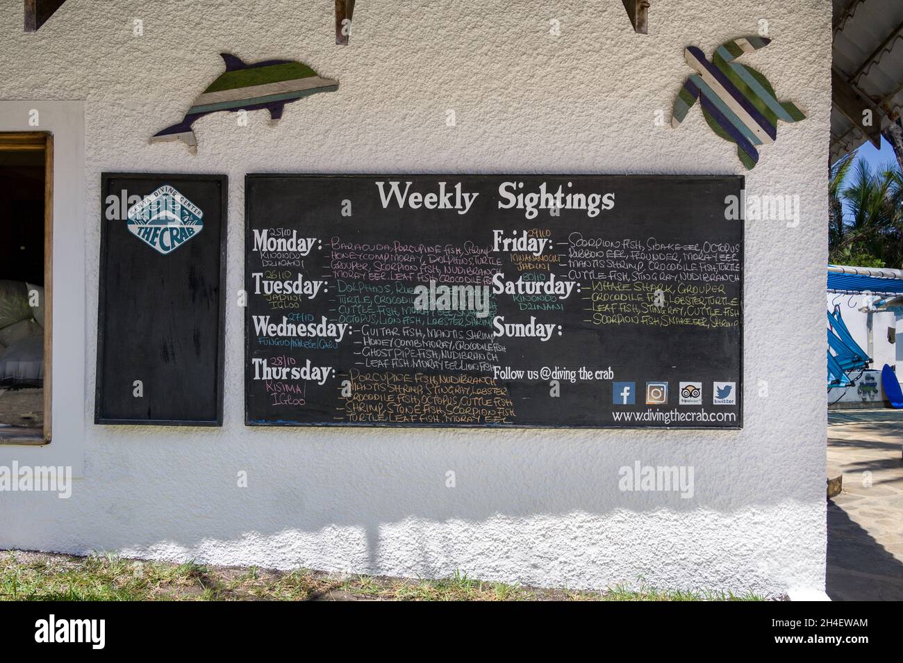 Weekly sightings black chalk board with various fish seen during the week, Diani, Kenya Stock Photo