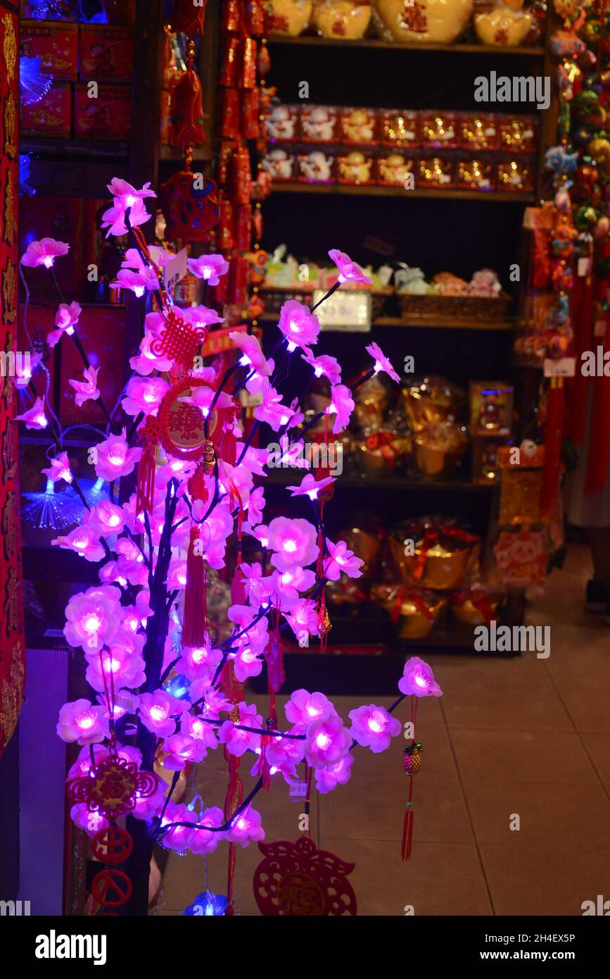 showcase of violet artificial glowing flowers in a room Stock Photo