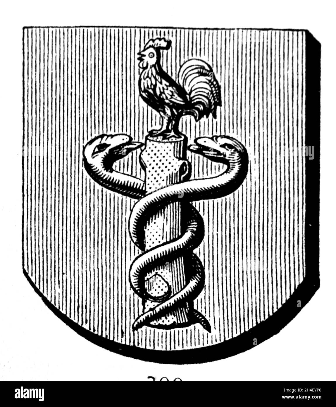 Banner of the corporation of physicians at Vire. Illustration. Stock Photo