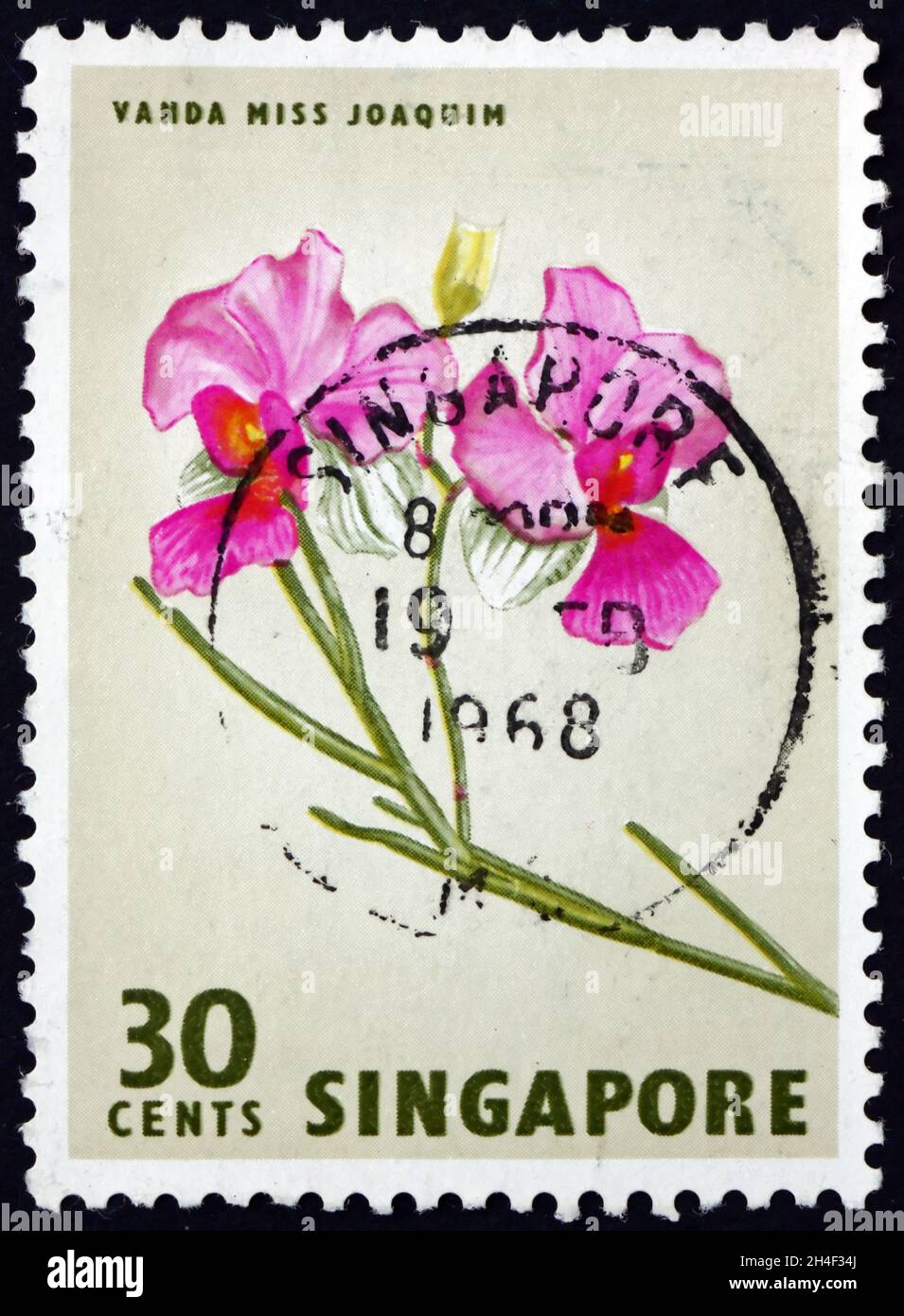 SINGAPORE - CIRCA 1963: a stamp printed in Singapore shows Vanda Miss Joaquim, is a hybrid orchid cultivar that is Singapore’s national flower, circa Stock Photo