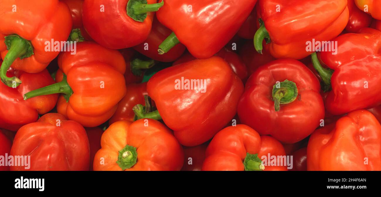 A lot of red bell pepper, texture background. Pile of fresh ripe red bulgarian pepper pattern, high quality Stock Photo