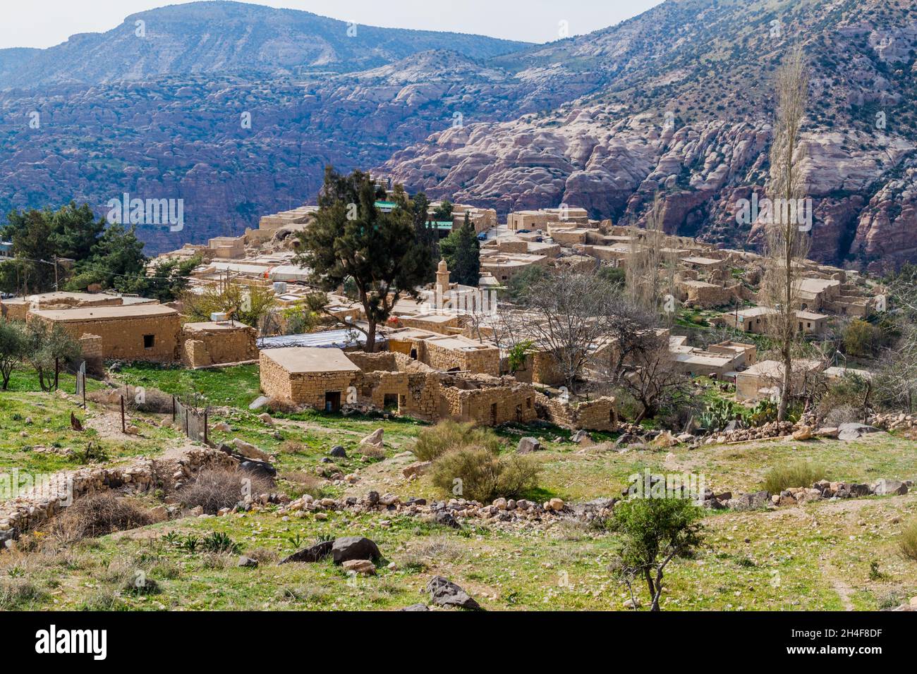 Jordan biodiversity hi-res stock photography and images - Alamy