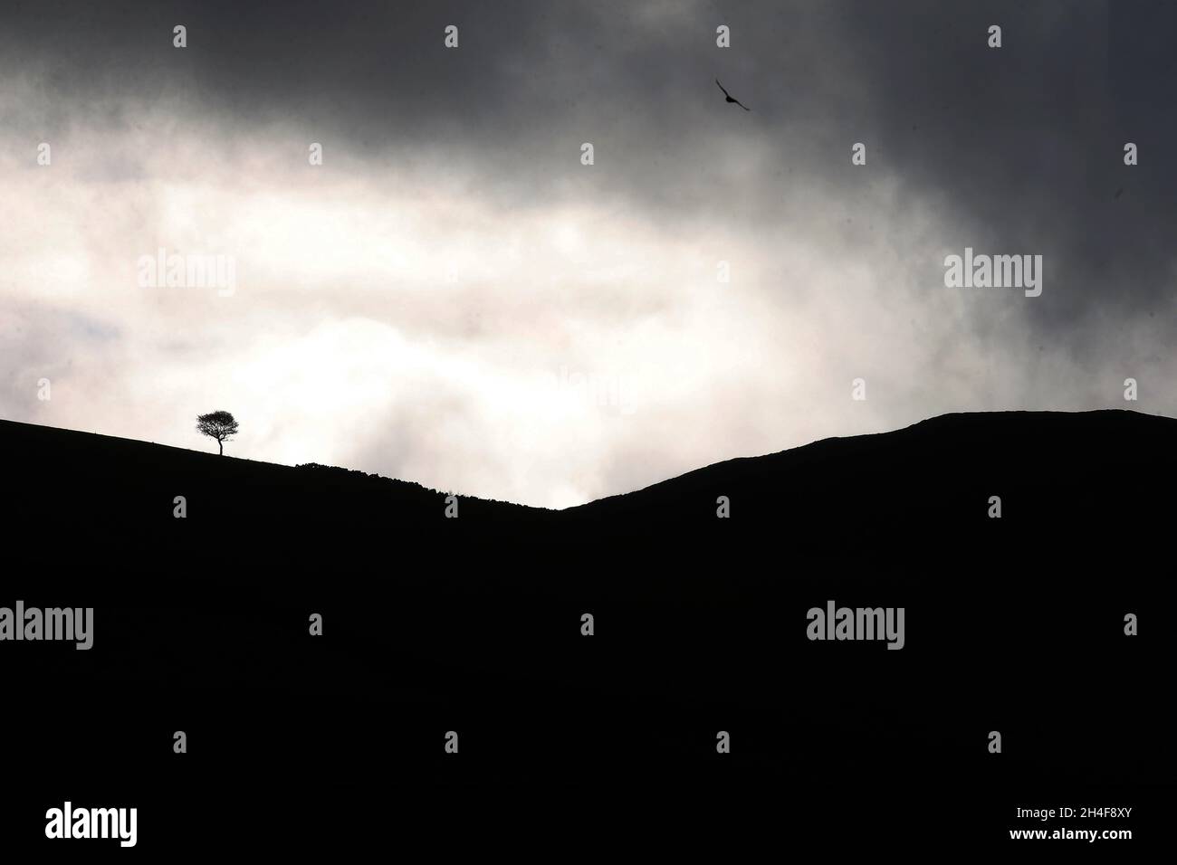 Crossing the Irish border from Greencastle in Northern Ireland to