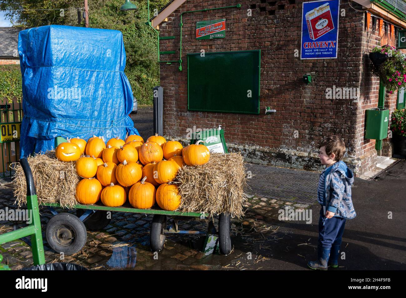 A young boy admires the Halloween pumpkins on a trolley at the Watercress Line Mid-Hants Railway, Medstead and Four Marks Station, UK Stock Photo