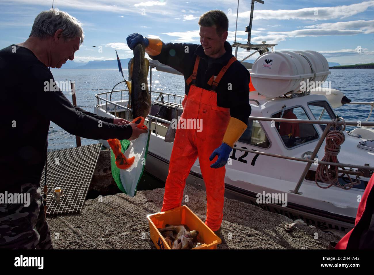 Ocean Angling Sea Angling in Iceland. Imposing Drangey Island off the coast of ...