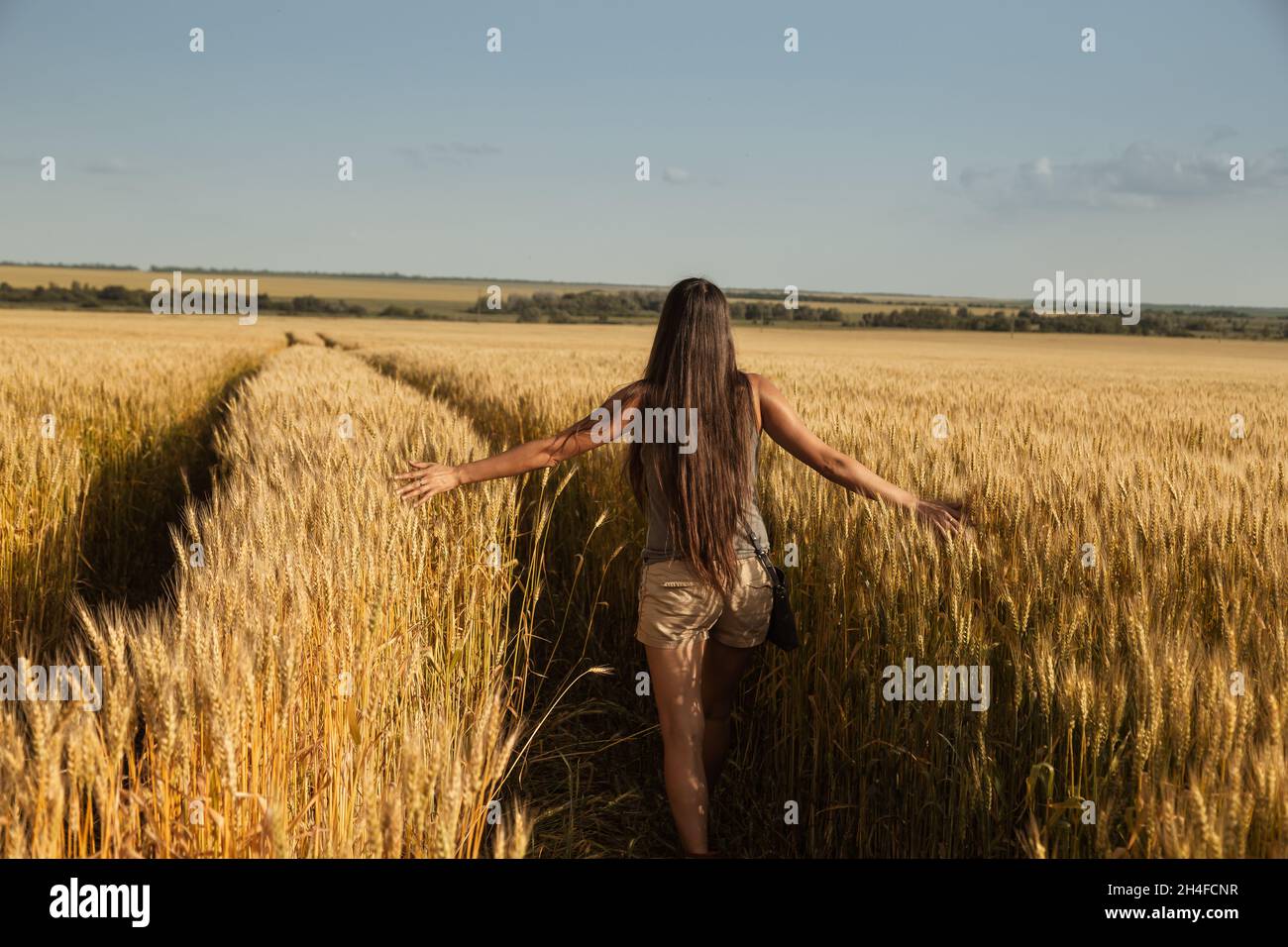 girl with long hair in a golden wheat field Stock Photo - Alamy