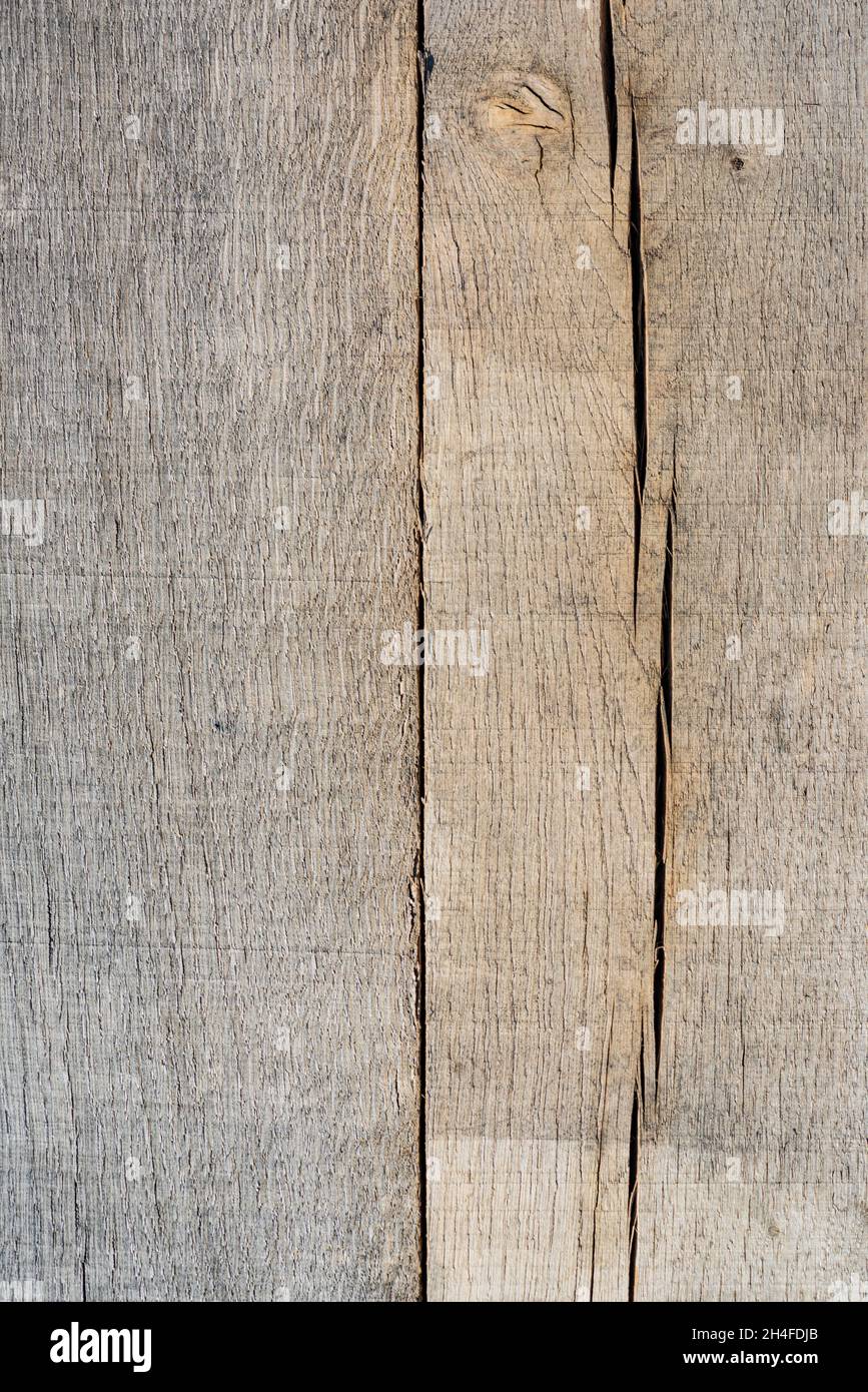 Whitewashed wooden paneling background Please credit Phillip Roberts