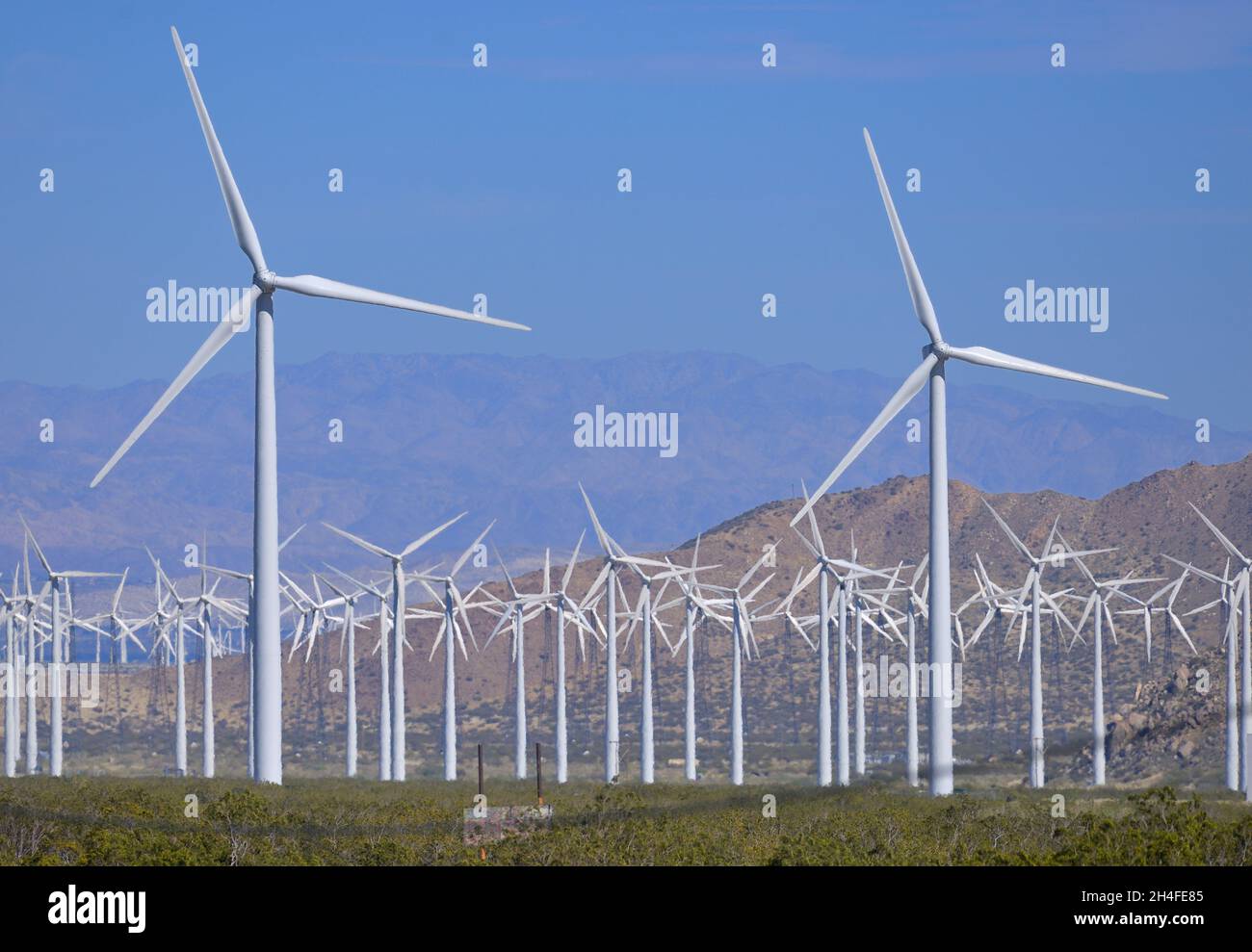The immense San Pass wind farm, near Cabazon CA Stock Photo Alamy
