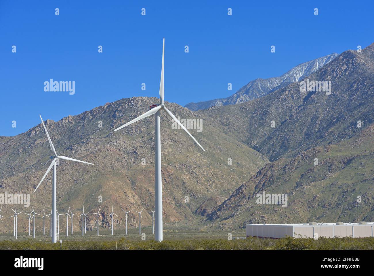 The immense San Pass wind farm, near Cabazon CA Stock Photo Alamy