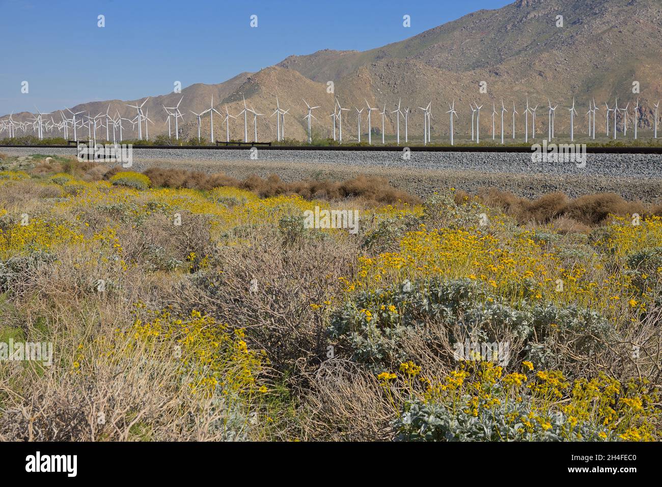 The immense San Pass wind farm, near Cabazon CA Stock Photo Alamy