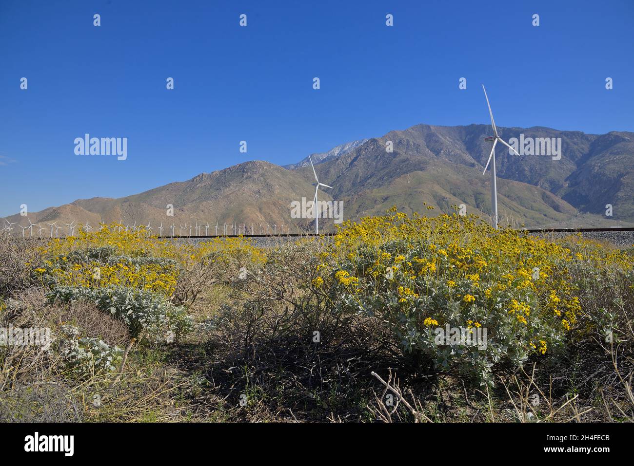 The immense San Pass wind farm, near Cabazon CA Stock Photo Alamy